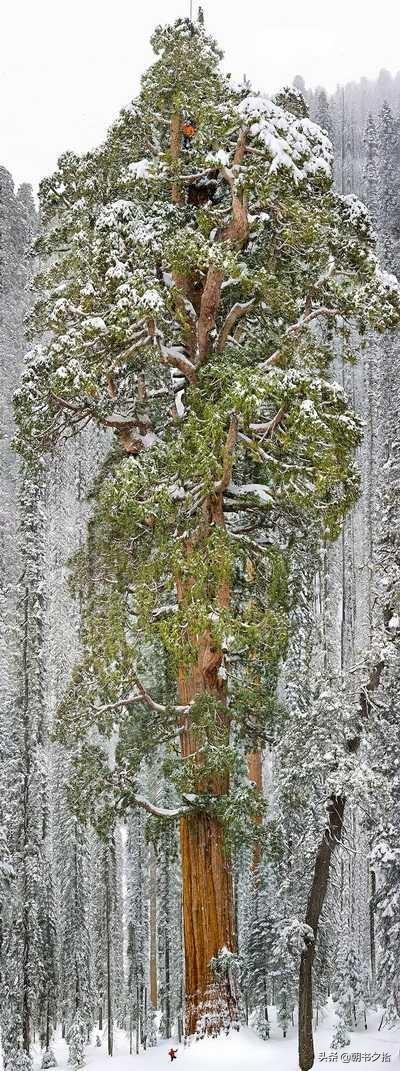 俄勒冈28开奖号码预测｜解析俄勒冈28开奖号码趋势与预测方法
